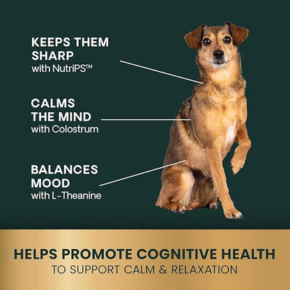VetriScience Senior Calm & Confident Soft Chews with Colostrum and L-Theanine, Golden Years Calming, Cognition and Brain Health, Sundowners Supplement for Senior Dogs, Chicken, 60 Count