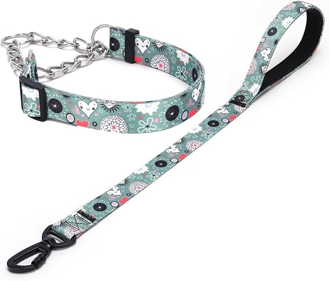 Martingale Dog Collar and Leash Set, Stainless Steel Chain, No Pull Training Collar with Flower Design, for Small, Medium, Large Dogs (NO11, S)