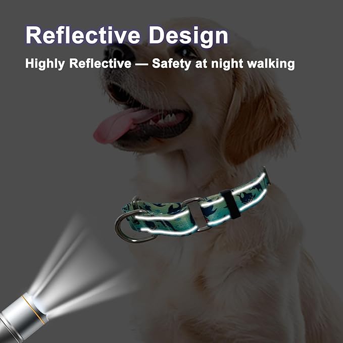 Reflective Martingale Collar for Dogs Nylon Training Collar with No Buckle, No Pull Boy Male Dog Collar for Large Dogs（Green Shark，L）
