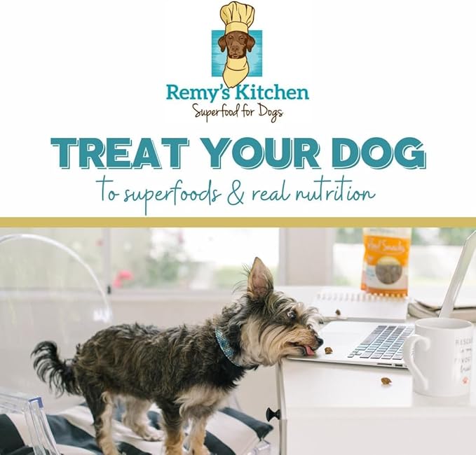 Lamb Meat Medley Freeze Dried Dog Treats USA Sourced and Small Batch Made - Human-Grade, All Natural Dog Treats Without Artificial Preservatives, Grain Free - 3 oz