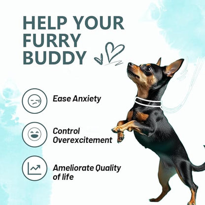 Calming Powder for Dogs - Anxiety & Stress Relief Supplement with Organic Hemp, Valerian Root - Behavioral Support, Fireworks & Travel Aid - Beef Flavor, 90g Powder (ND-046)