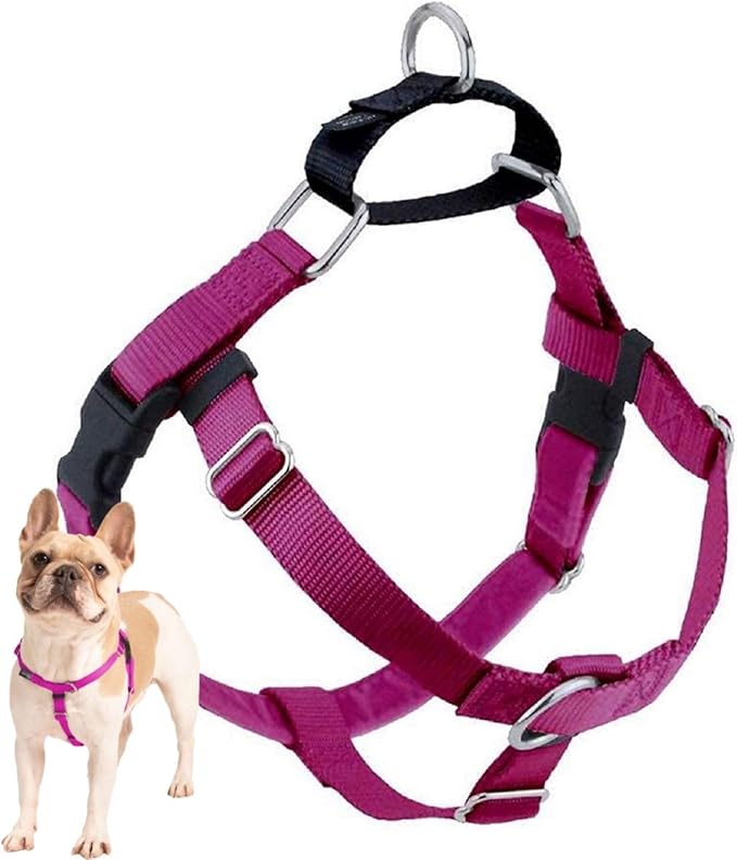 2 Hounds Design Freedom No Pull Dog Harness, Adjustable Harness, Easy Walking & Comfortable Control, Fits Small, Medium & Large Dogs, Solid Colors, Made in USA, 1" XXL, Raspberry