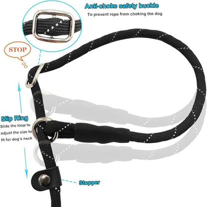 BTINESFUL 10FT / 15FT / 20FT Slip Lead Dog Leash, Reflective 1/3” Rope Leash Long Training Lead for Small Medium Dogs