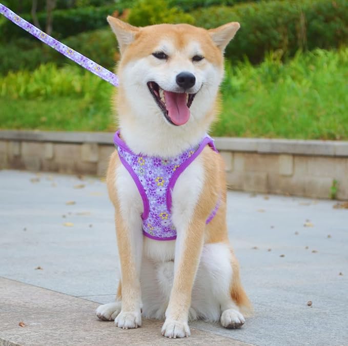 Moonpet Step in Dog Harness Leash Set- All Weather Reflective No-Pull Floral Pattern Padded Mesh Vest Harness for Cats Puppy Extra-Small Small Medium Large Dogs - Purple Flower - XL