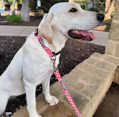 Lucky Love Dog - Adjustable Dog Collar with Easy Click Buckle for Large Ones, Durable, & Comfortable for Male & Female Dogs, Pet Collar for Puppies & Adult Dogs - Bailey, Large