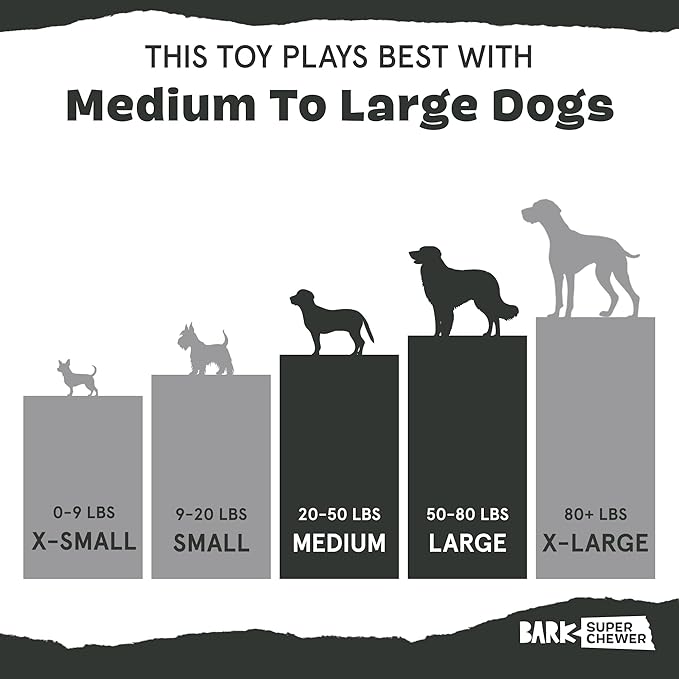 Barkbox Super Chewer Tough Dog Chew Toys for Aggressive Chewers, Plush 2 Toys in 1 (Hare Raiser - Large)