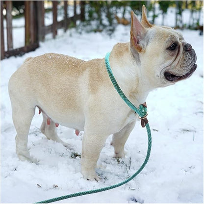 BTINESFUL 7FT Slip Lead Dog Leash, 14+ Colors Nylon Rope Leash, 1/4 Diam Dog Training Lead for Small Medium Dogs (1/4" * 7 FT, Green Dot)