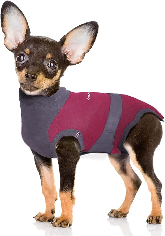 MAXX Dog Recovery Suit – Breathable, Cozy Post-Surgery Suit for Wounds – E-Collar, Cone Alternative (Ruby Red Grey, S+)