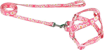 Harness and Leash Set, Floral Pattern, 5ft Matching Leash, No Pull, Easy Wear for Small Puppy Dogs.(XS, Pink Daisy)