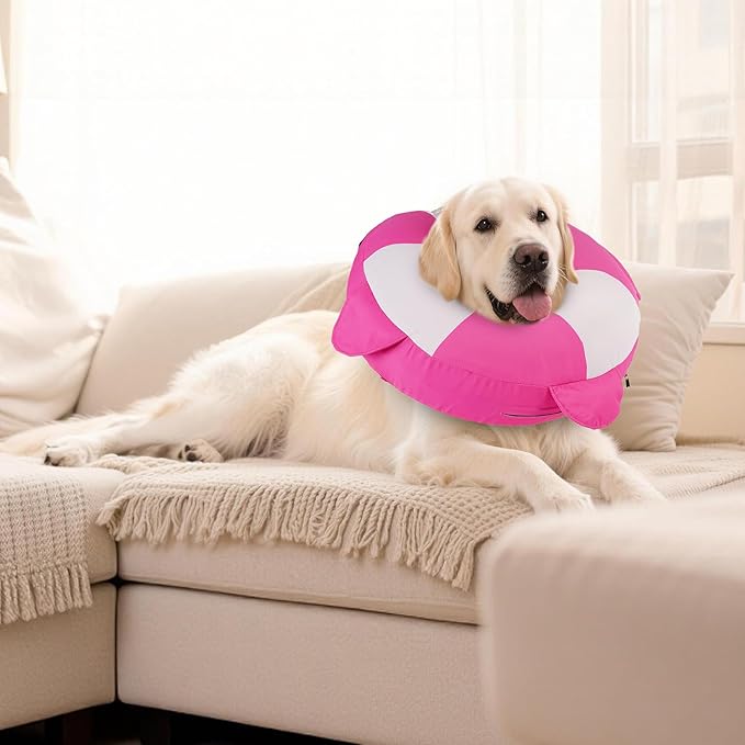 MIGOHI Dog Cone Collar Alternative for Small Dogs - Soft Recovery Donut E-Collar After Neuter Surgery, Pet Neck Protect to Stop Licking and Biting,Spay & Neuter,Not Block Vision(M,Rosepink)
