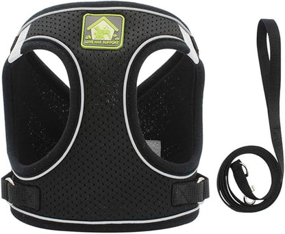 FEimaX Dog Harness and Leash Set, No Pull Breathable Soft Mesh Puppy Vest Harness Reflective Adjustable Pet Harnesses for Small Medium Dogs and Cats - Outdoor Easy Control for Walking