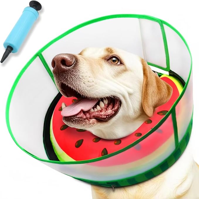 Upgraded Inflatable Dog Cone Collar with Transparent Anti-Licking Shield, Adjustable Elizabethan Collar for Medium Large Dogs, 2-in-1 Design with Detachable Shield and Soft Padding (M, Watermelon)