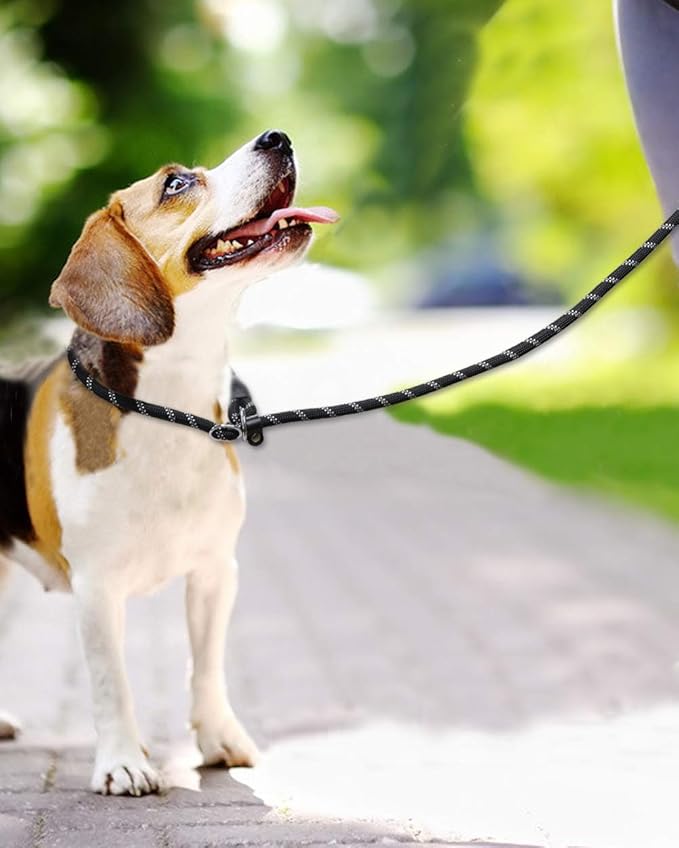 TagME 6ft Slip Dog Lead, No Pull Reflective Training Leash with Padded Handle, Professional Rope P-Leash for Small Medium Large Dogs, Heavy Duty Correction Lead for Walking & Training (Black)
