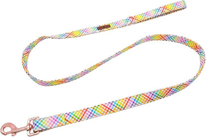 Lionet Paws Dog Leash and Matching Collar for Small, Medium, Large Dogs