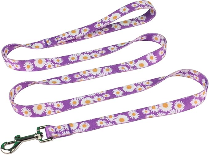 Harness and Leash Set, Floral Pattern, 5ft Matching Leash, No Pull, Easy Wear for Small Dogs.(S, Purple Daisy)