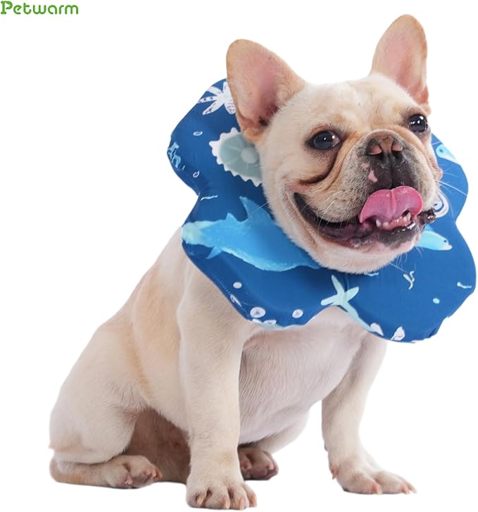 PetWarm Dog Recovery Collar, Recovery Collar for Dogs, Lightweight Soft Flower Design, Comfortable Neck Protector Helps Discourage Licking, Post-Visit Protective Collars, Animal Print, Blue, L
