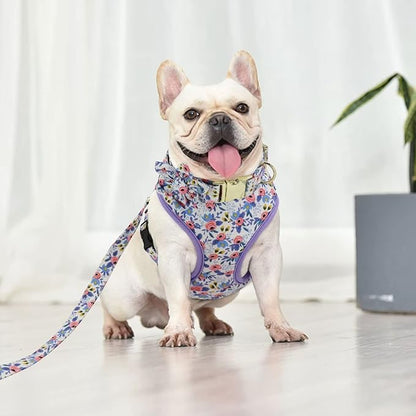 Beirui Cute Girl Dog Collars, Harnesses & Leashes Set - Adjustable Dog Collar and Leash Set with Flower - Soft Mesh Dog Vest Harness for Puppies Small Medium Dogs (Blue,M)