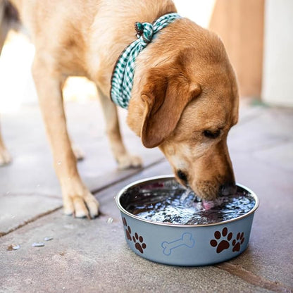 Loving Pets Bella Dog Bowls- Stainless Steel Dog & Cat Bowls - Spill Proof Dog Food Bowl, Cat Bowl, Puppy Essentials & Pet Supplies Great for Home & Travel (Small 10-20 lbs, Blueberry)
