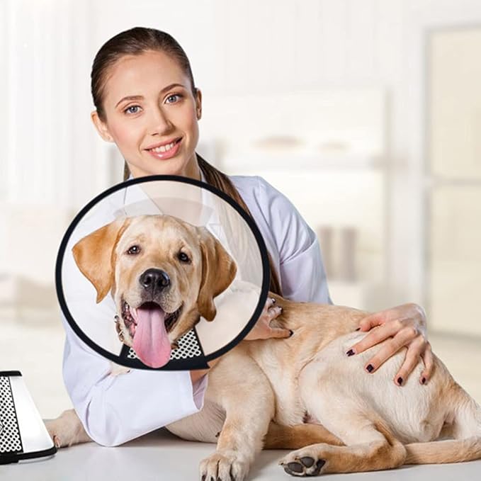 Plastic Pet Recovery Collars & Cones for Dogs and Cats After Surgery Adjustable Dog Neck Cone Surgical Elizabeth E-Collar Prevent Biting and Stop Licking Wound (XXXS)