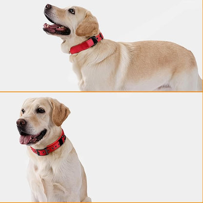 Annchwool Adjustable Dog Collar and 5FT Leash Set with Heavy Duty Metal Buckle–Comfortable Lining Reflective Collar & Dual-Handles for Small,Medium Large Dogs Walking,Running(Red Set,S:13''-17'')