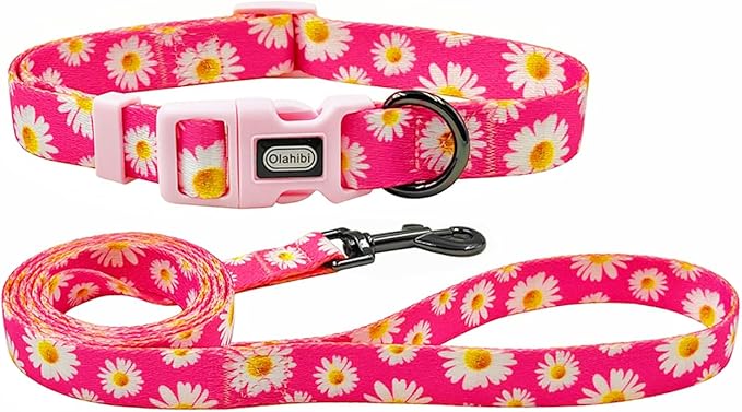 Dog Collar and Leash Set, Cute Pink Daisy Pattern, Polyester Material, 5ft Leash, for Large Dogs.(L, Daisy Set)