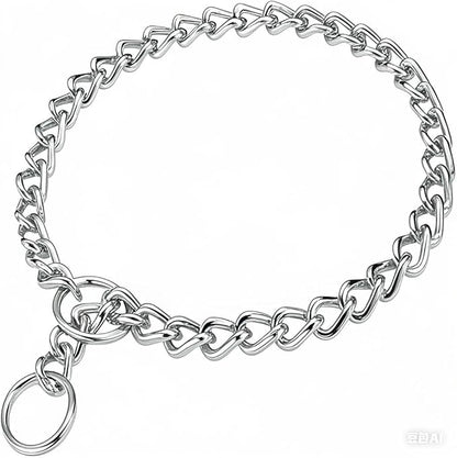 Chain Choker Collar for Dogs, Metal Slip Link Training Heavy Duty Dog Choke Collar Martingale Puppy Collars for Small Medium Large Big XL Breed Dogs (Silver, XL)
