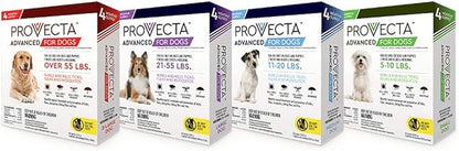 Provecta 4 Doses Advanced for Dogs, Small/5-10 lb (Pack of 2)