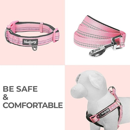 Blueberry Pet 3M Reflective Pastel Color Dog Leash with Soft & Comfortable Handle, 5 ft x 5/8", Orange Peel, Small, Leashes for Dogs