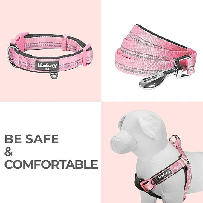 Blueberry Pet 3M Reflective Pastel Color Dog Leash with Soft & Comfortable Handle, 4 ft x 1", Lavender, Large, Leashes for Dogs