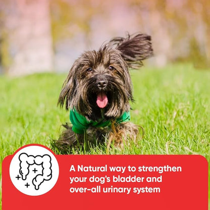 iHeartDogs Extra Strength Urinary, Bladder, & Kidney Support for Dogs – Cranberry, D-Mannose & Echinacea Helps Maintain Urinary Tract Health, Strengthens Weak & Incontinent Bladder