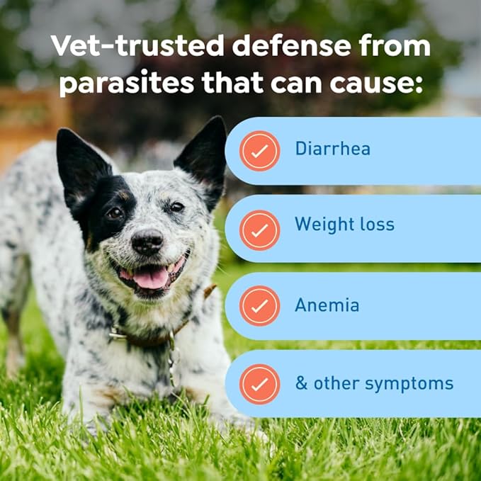 Interceptor Plus Prevention for Heartworm + 4 Other Worms for Dogs 25.1-50 lbs. | 12 Chews, 12-Month Supply