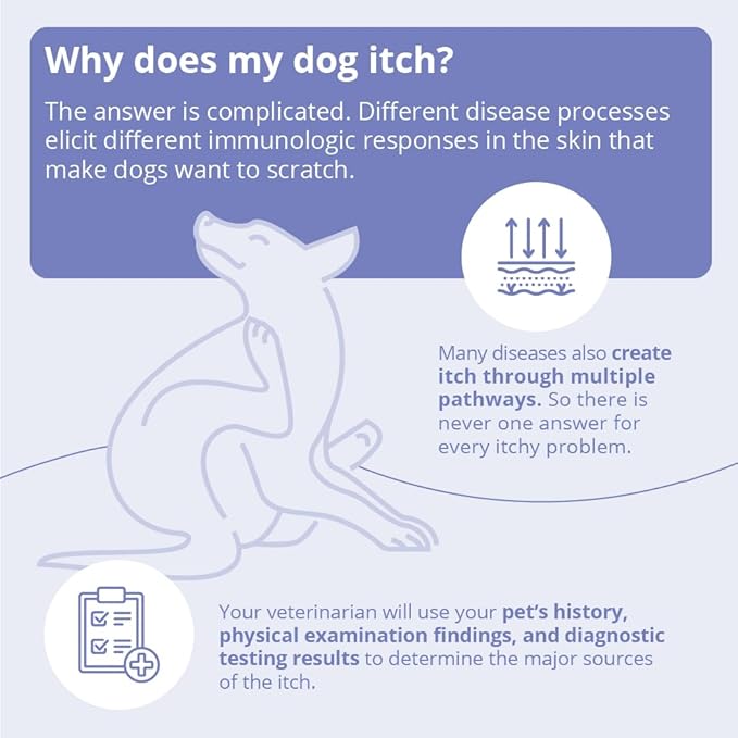 MiconaHex+Triz Shampoo for Dogs, Cats and Horses, Gallon