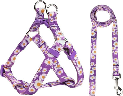 Harness and Leash Set, Floral Pattern, 5ft Matching Leash, No Pull, Easy Wear for Small Dogs.(S, Purple Daisy)