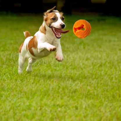 Hank & Harley Dog Toy Treat Ball- Entertain with Food & Treat Dispensing, Fetching and Chewing Toys. Amazing Durability, Dishwasher Safe, BPA Free Non-Toxic Rubber (Ball)
