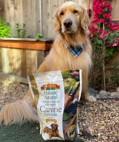 Bench & Field Holistic Natural Adult Dry Dog Food, Chicken Meal and Brown Rice Recipe 6.6 lb Bag (Pack of 1)