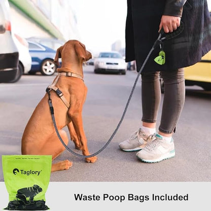 Taglory Rope Dog Leash 6 FT with Comfortable Padded Handle, Highly Reflective Threads Leash and Anti-Tangle Clip for Walking Small Dogs, 3/8 inch, Grey