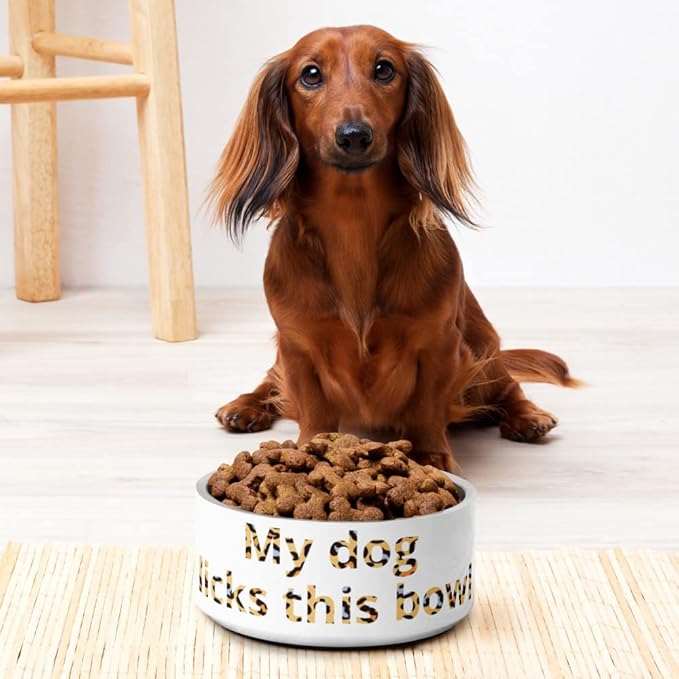 Pet Bowl