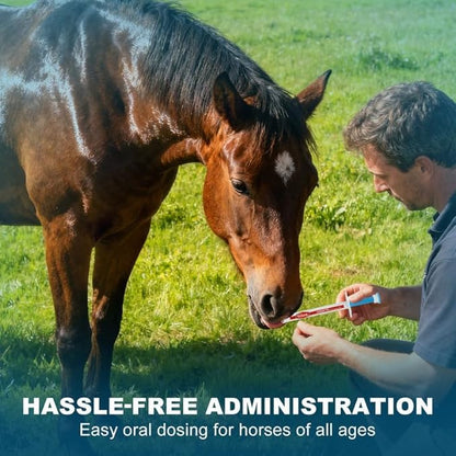Ivermectin Horse Paste Dewormer , Horse Wormer Paste, Apple Flavor, 0.21 Ounces, 6 Pack