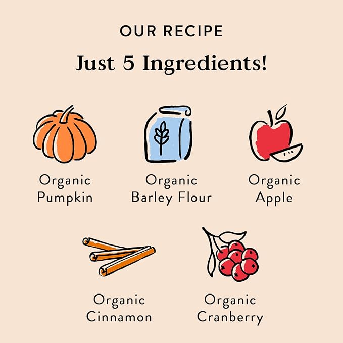 Bocce's Bakery Natural, Small Batch, Organic Dog Treats, Pumpk'n Harvest Biscuits, Wheat-Free, Limited-Ingredient, Made in The USA with 100% Recyclable Packaging, 12 oz Bag