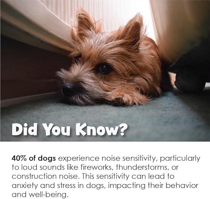 TranQuil-Tabs for Dogs - Contains Chamomile, L-Tryptophan, and Melatonin - Relieves Stress and Tension - Ease Travel and Separation Anxiety - 60 Tabs