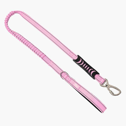Dog Friendly Co. Bungee Dog Leash | Strain Free & Shock Resistant for Control | Neoprene Padded Handle, Heavy-Duty Carabiner Clip, and D-Ring | Pink, Size Small