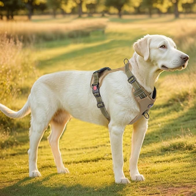 L Size Tactical Dog Harness No Pull Adjustable Pet Vest Collars with Handle and Reflective Trim, Training Harnesses for Boy and Girl Large Dogs and Medium Small Size Pet