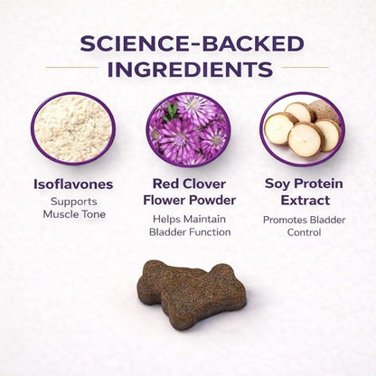 VetriScience Bladder Health Soft Chews for Dogs Bladder Control Supplement & Urinary Support - Incontinence Support Formula with Soy Protein & Red Clover, Chicken Flavor, 60 Count