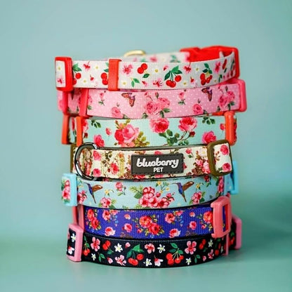 Blueberry Pet 7 Patterns Spring Scent Inspired Pink Dog Collar, Medium, Neck 14.5"-20", Dog Collars, Puppy Collar, Flowers for Dog Collars Girl, Purple Dog Collar, Girl Dog Accessories