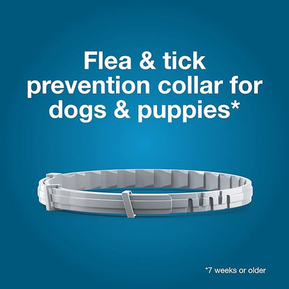 Seresto Large Dog Vet-Recommended Flea & Tick Treatment & Prevention Collar for Dogs Over 18 lbs. | 2-Pack