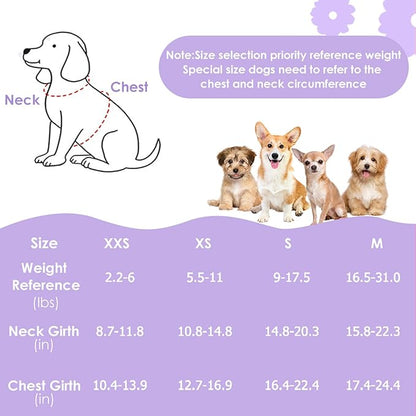 Lukovee Puppy Harness and Leash Set, No Pull Lightweight Soft Suede Adjustable Pet Harness Vest with Snap Buckle for Puppy Small and Medium Size Dog (Purple-XXS)