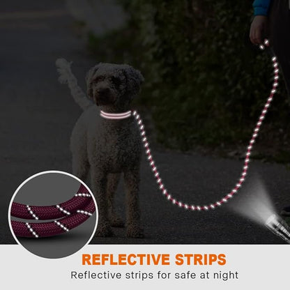 Taglory Rope Dog Leash 4 FT with Comfortable Padded Handle, Highly Reflective Threads Leash and Anti-Tangle Clip for Walking Small Dogs, 3/8 inch, Hotpink