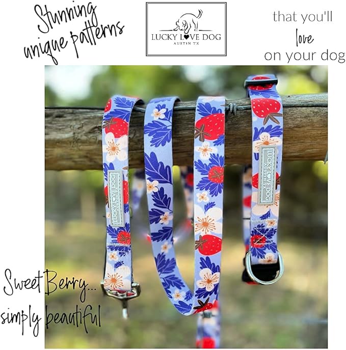 Lucky Love Dog Martingale Collar, Premium Fun Girl No Slip Collars, Strawberry Martingale Small Dog Collar, Great for Whippets, Greyhounds, and More (Sweet Berry, Small)
