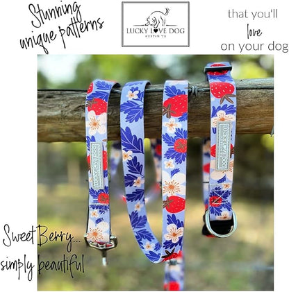 Lucky Love Dog Martingale Collar, Premium Fun Girl No Slip Collars, Strawberry Martingale Small Dog Collar, Great for Whippets, Greyhounds, and More (Sweet Berry, Small)