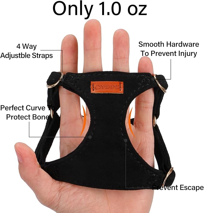 No Pull Dog Harness- Lightweight, Soft, Adjustable Small Harness Collar and Leash Set, Suitable for Cats Puppy Small and Medium-Sized Dog Outdoor Training and Running (Black, XXS)